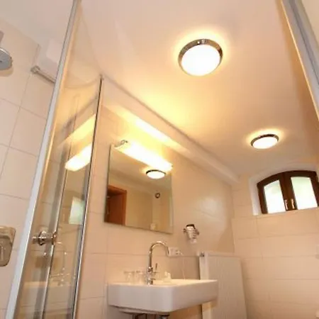 Karpfenhotel & Herrenhaus Im Gasthaus Sindel-Buckel Feuchtwangen Room photo
